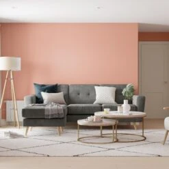Dulux Walls & Ceilings Copper Blush Matt Emulsion Paint, 2.5L 11 Dulux Walls & Ceilings Copper Blush Matt Emulsion Paint, 2.5L -Trade Point dulux walls ceilings copper blush matt emulsion paint 2 5l5010212618158 01i bq
