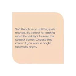 Dulux Walls & Ceilings Soft Peach Silk Emulsion Paint, 2.5L -Trade Point dulux walls ceilings soft peach silk emulsion paint 2 5l5010212105443 36c bq