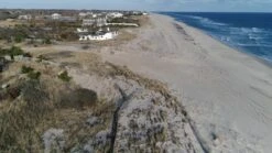 Trade Point -Trade Point farrow ball modern jitney no 293 matt emulsion paint 2 5l5029496759372 lcl en