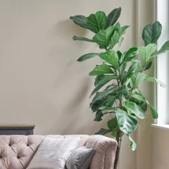 Laura Ashley Soft Natural Eggshell Emulsion Paint, 750ml -Trade Point laura ashley soft natural eggshell emulsion paint 750ml5011583473544 02i bq