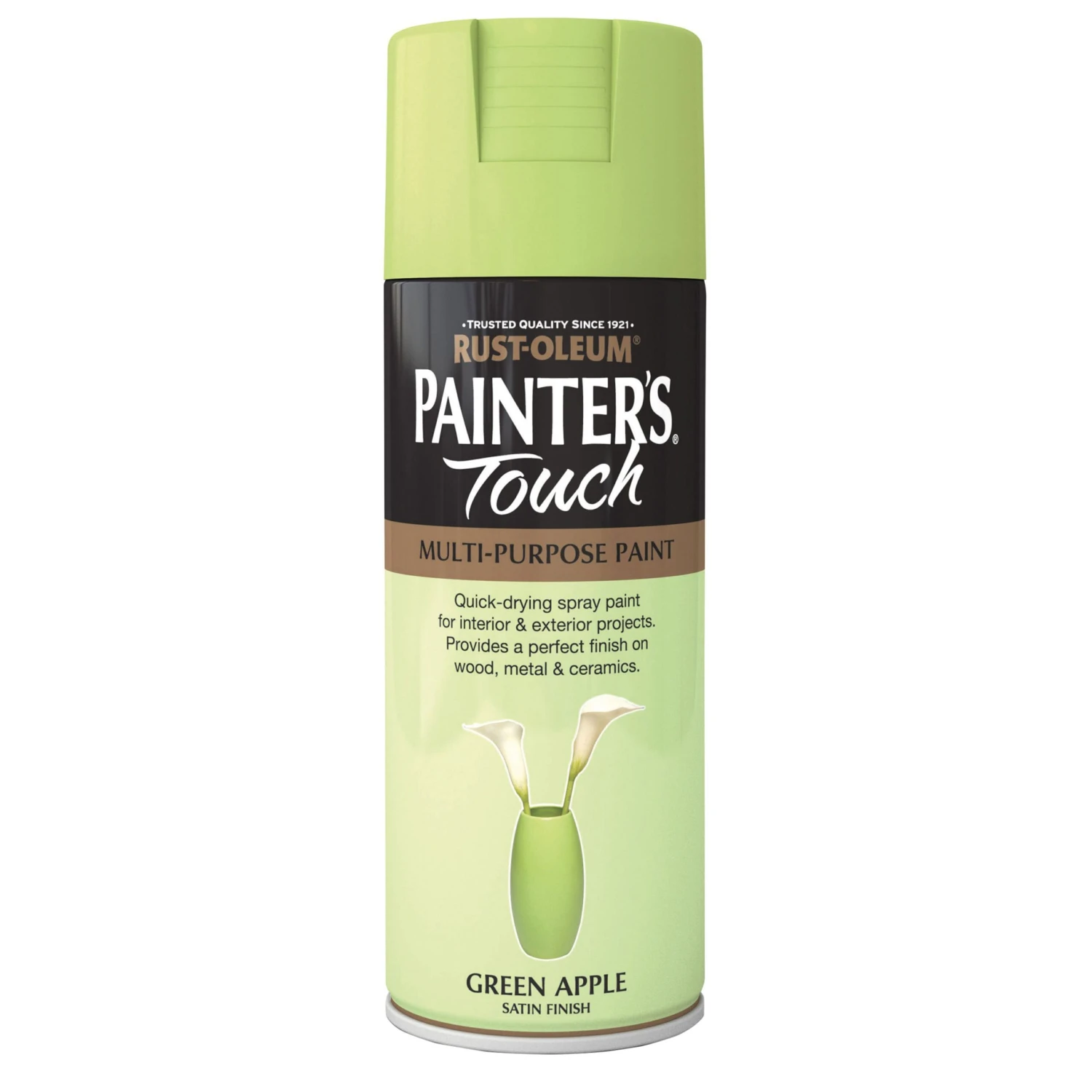 Rust-Oleum Painter's Touch Green Apple Satinwood Multi-surface Decorative Spray Paint, 400ml 2 Rust-Oleum Painter's Touch Green Apple Satinwood Multi-surface Decorative Spray Paint, 400ml - Image 2